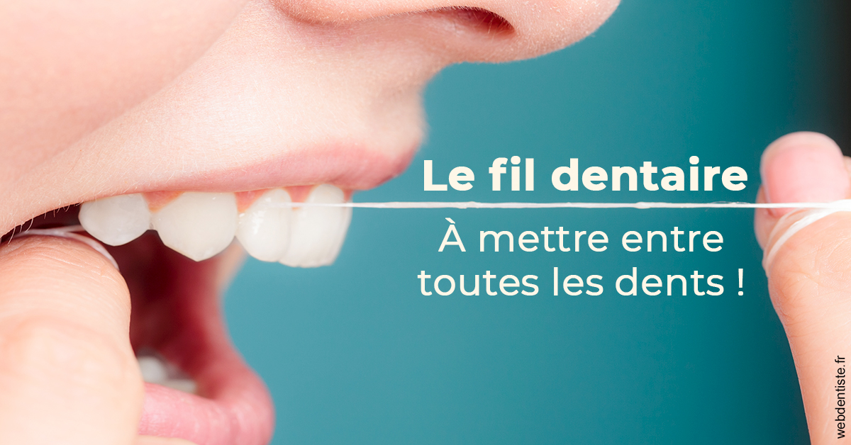 https://dr-pointeau-lafond-delphine.chirurgiens-dentistes.fr/Le fil dentaire 2
