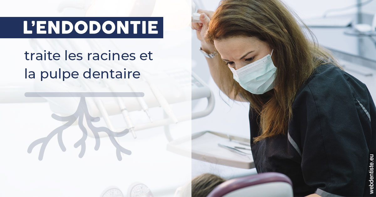 https://dr-pointeau-lafond-delphine.chirurgiens-dentistes.fr/L'endodontie 1