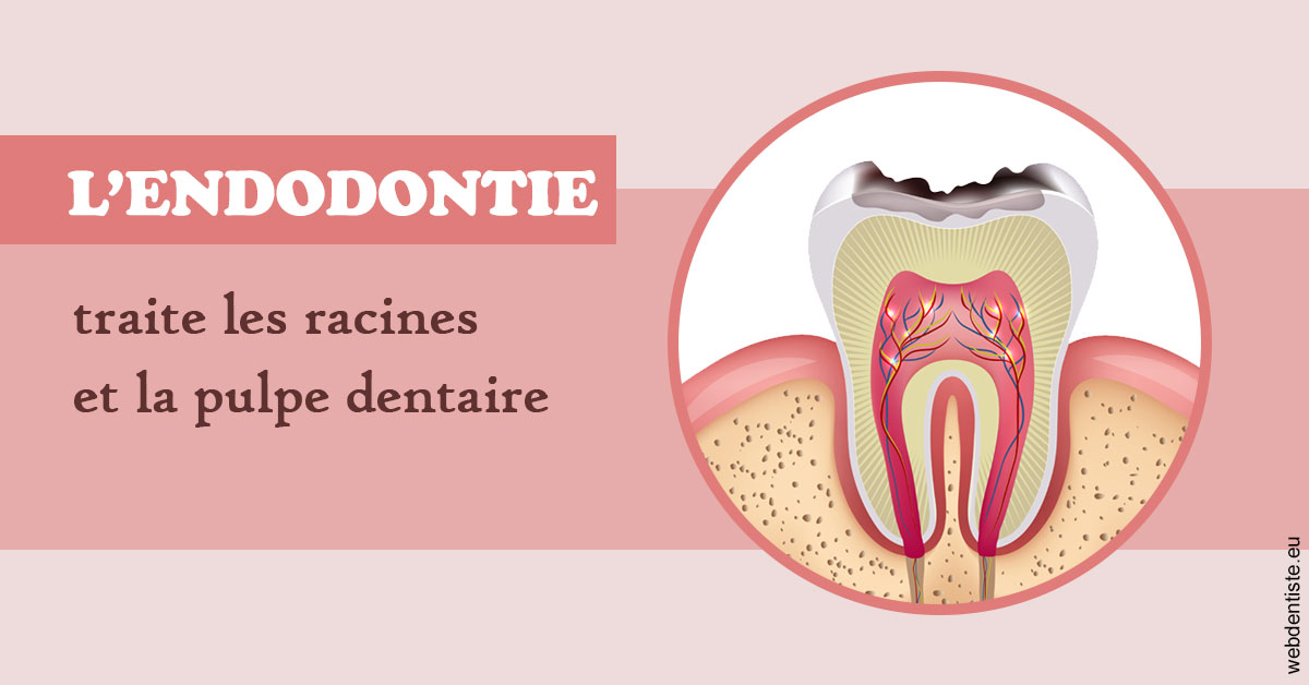 https://dr-pointeau-lafond-delphine.chirurgiens-dentistes.fr/L'endodontie 2