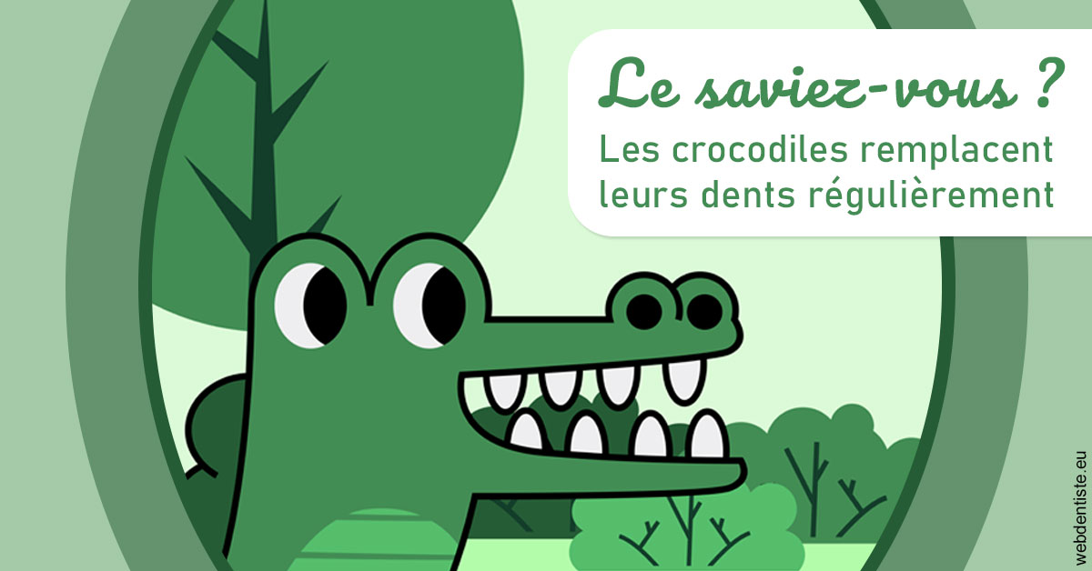 https://dr-pointeau-lafond-delphine.chirurgiens-dentistes.fr/Crocodiles 2