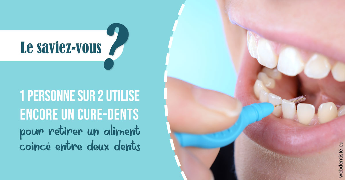 https://dr-pointeau-lafond-delphine.chirurgiens-dentistes.fr/Cure-dents 1