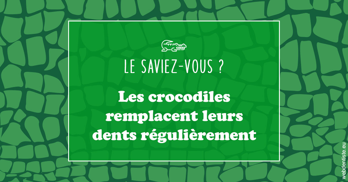 https://dr-pointeau-lafond-delphine.chirurgiens-dentistes.fr/Crocodiles 1